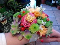 /album/galleria-foto-bouquet-sposa/a2013-06-06-12-51-58-jpg/